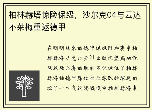 柏林赫塔惊险保级，沙尔克04与云达不莱梅重返德甲