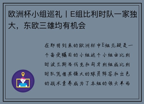 欧洲杯小组巡礼丨E组比利时队一家独大，东欧三雄均有机会